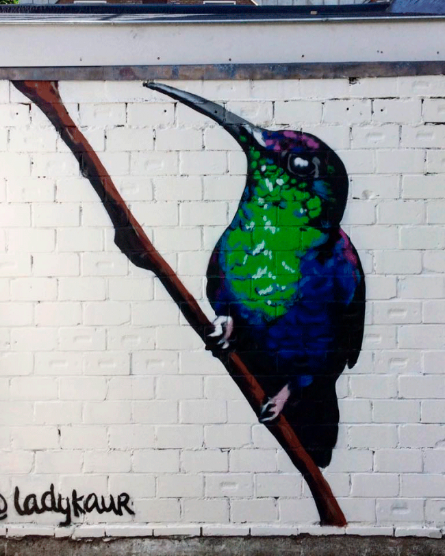 Homepage-Streetart-Hummingbird